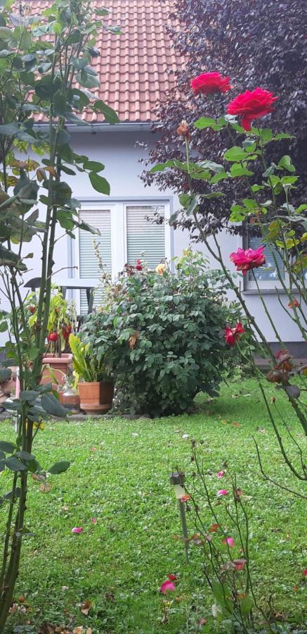 Ferienwohnung Relax อิลเซินบวร์ก ภายนอก รูปภาพ