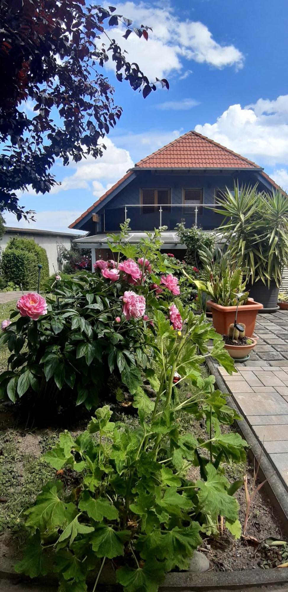 Ferienwohnung Relax อิลเซินบวร์ก ภายนอก รูปภาพ